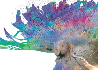 XIII Coloquio de Neurohumanidades