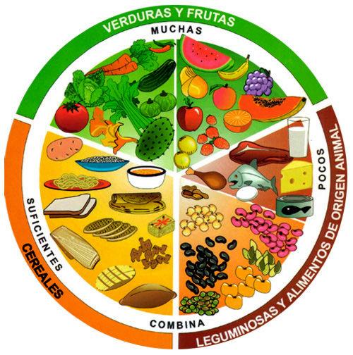 Conocimientos de la nutrición